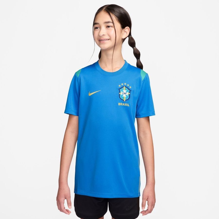 [VFJ] 2026 Brazil Dri FIT Academy Pro World Cup Photo Blue/Light Menta/Midwest