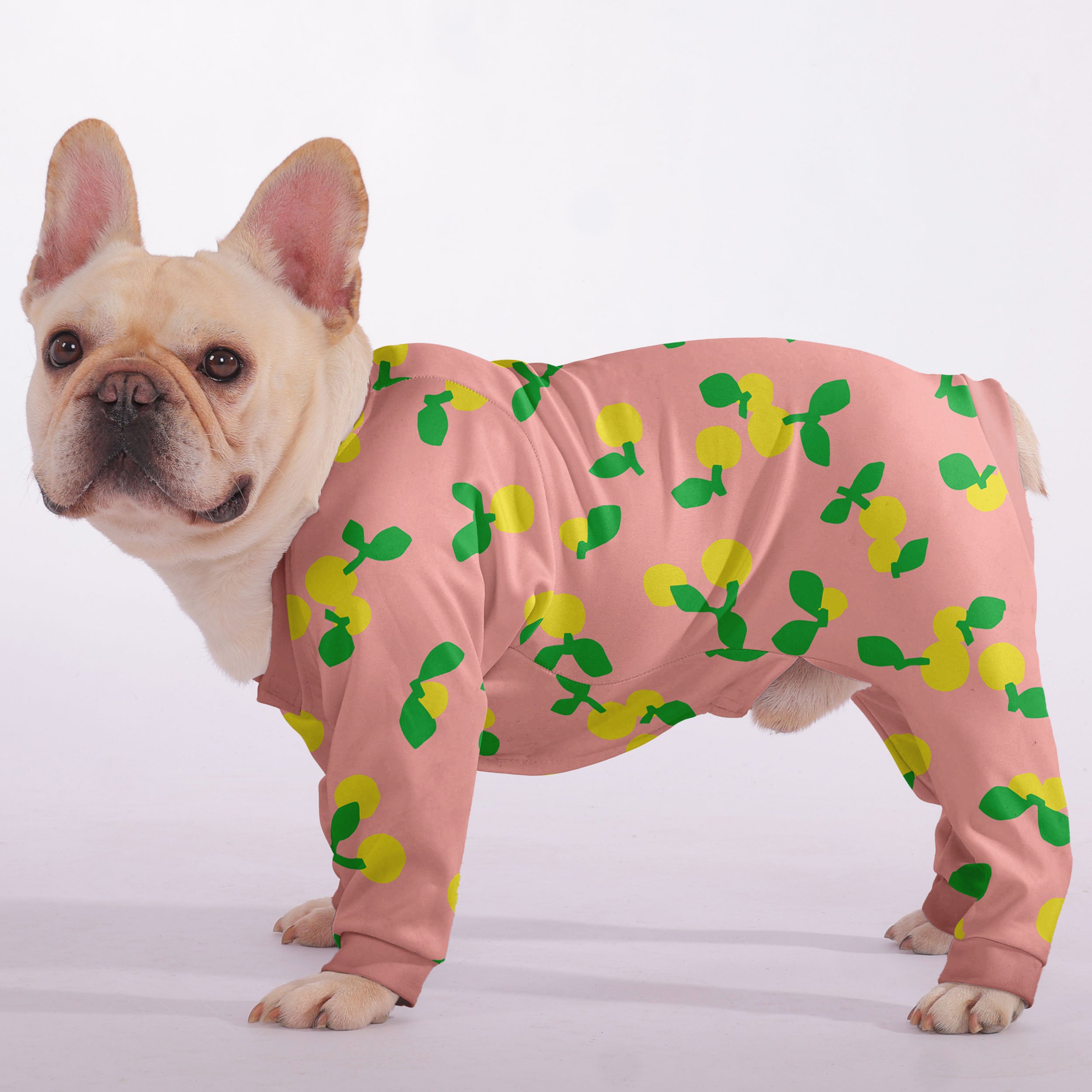Lifestyle-Driven Everyday Luna - Frenchie Pajama for Casual Outings