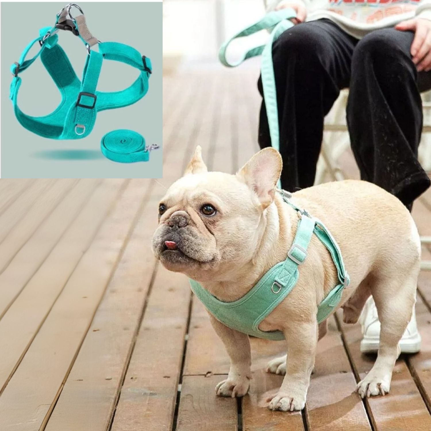 Daily-Walk Bulldofit Luxury Suede Frenchie Harness – Breathable Vest ...