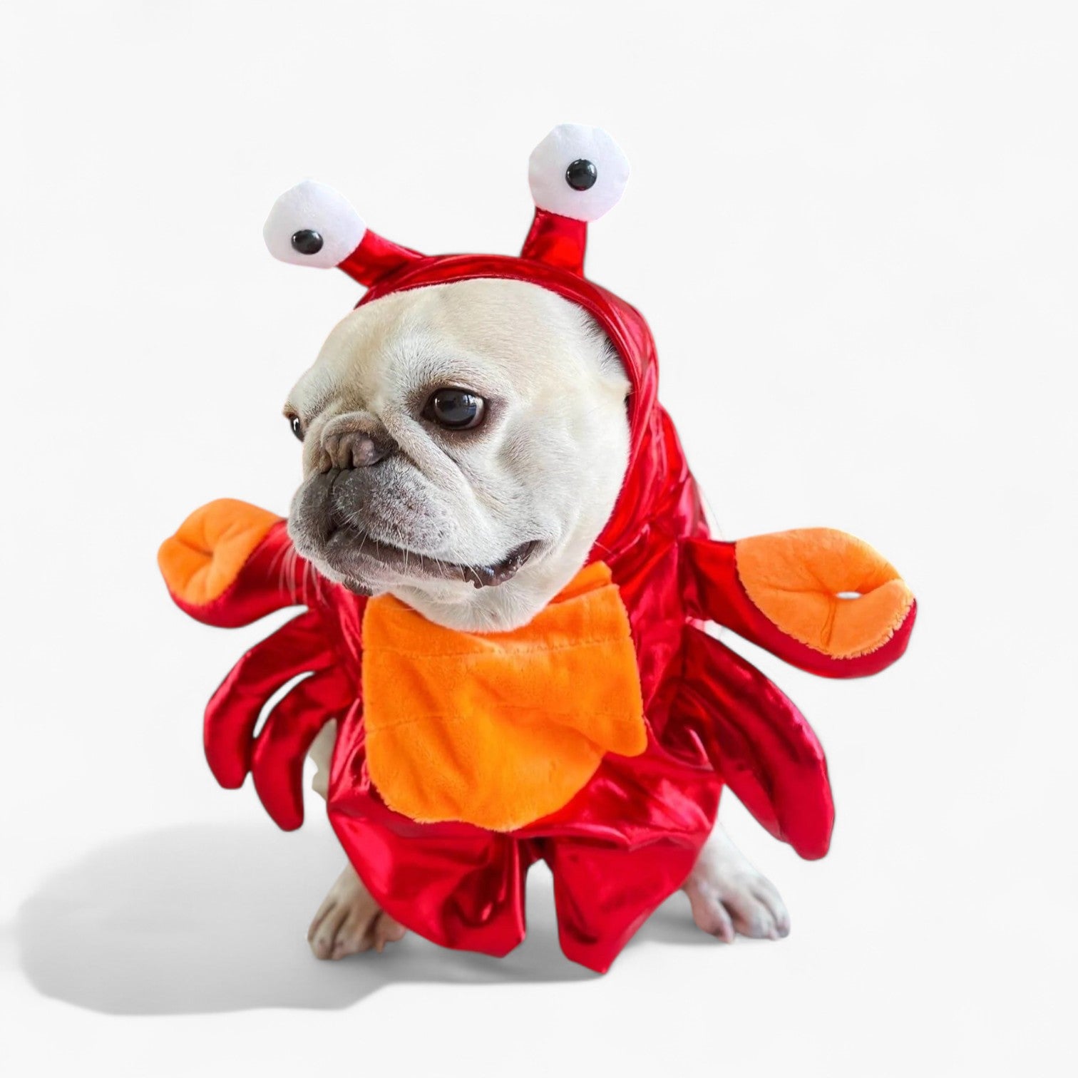 Frenchie-Fan Crustapup Frenchie Red Crab Costume – Warm Cotton Funny ...