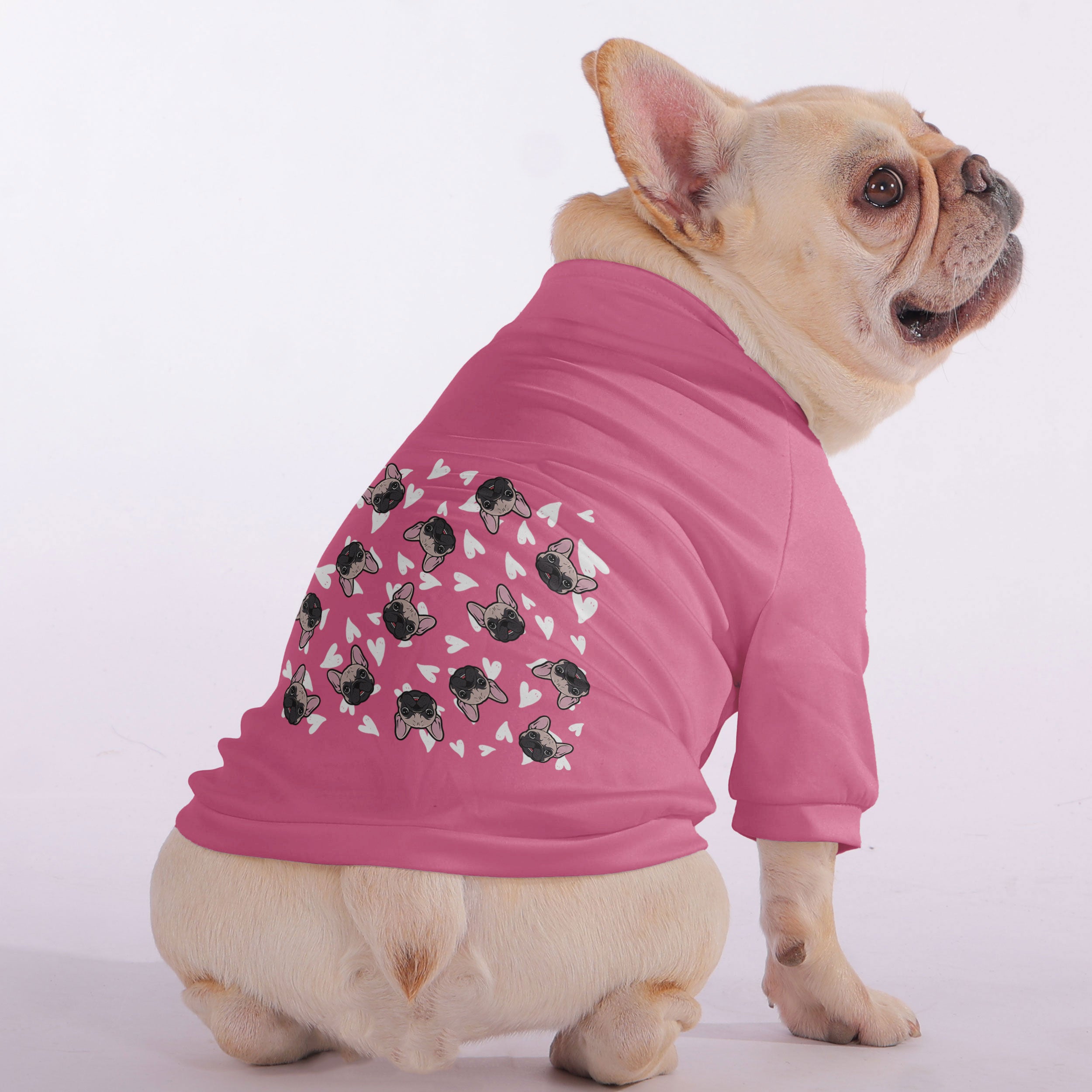 Sweatshirt For French Bulldogs For Frenchie Fans | Premium Quality