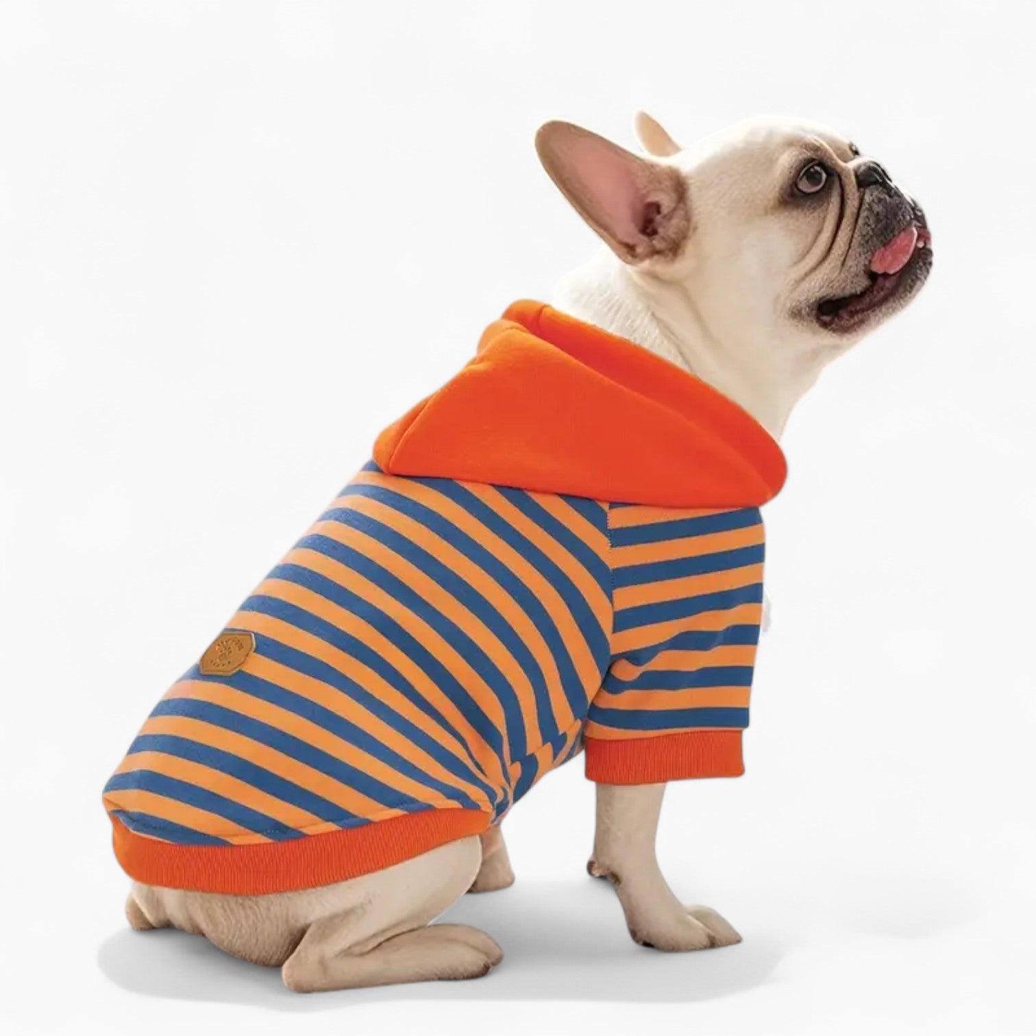 Minimal-Aesthetic Striplee French Bulldog Hoodie – Soft Striped Knit ...