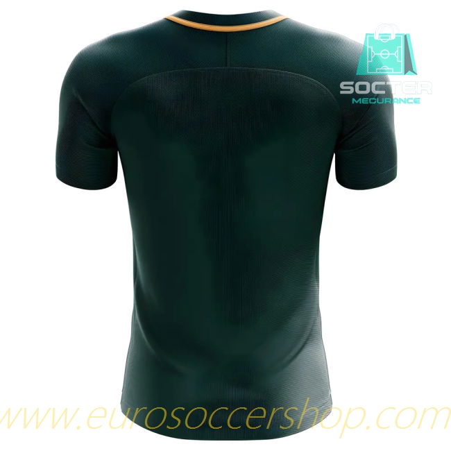 2025/26 Campaign Nigeria Fan Edition Third Football Shirt Women