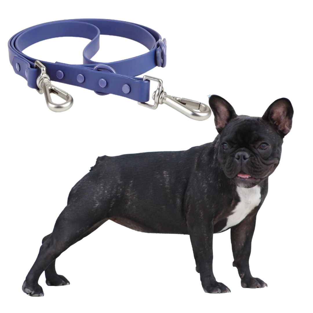 French Bulldog Frenchie Quick Release Harness Leash Set Practical Dog Gear