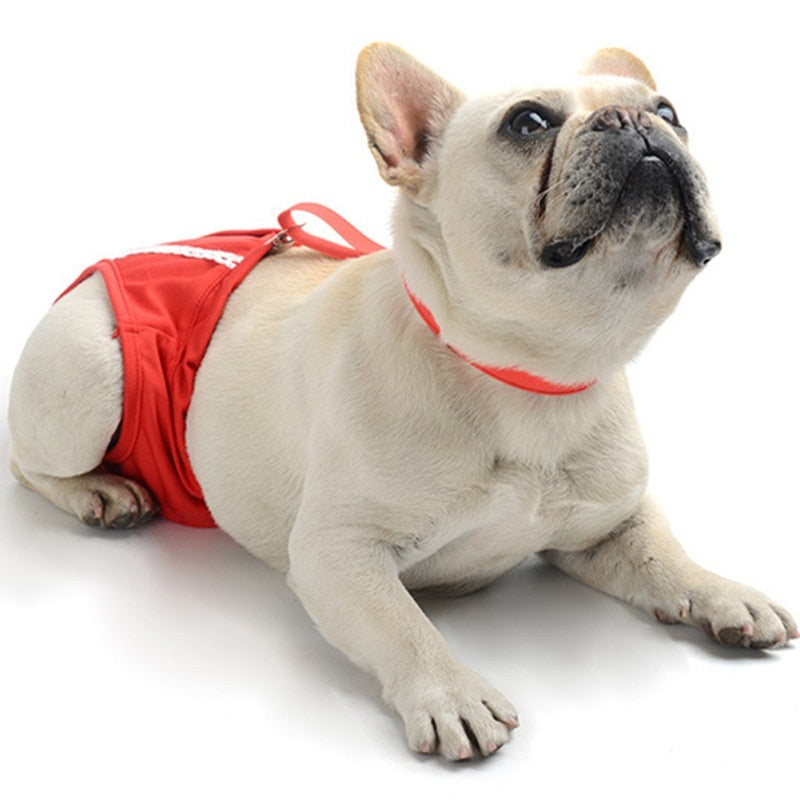 Cozy Cleanpup Frenchie Physiological Pants Premium Sanitary Panties F...