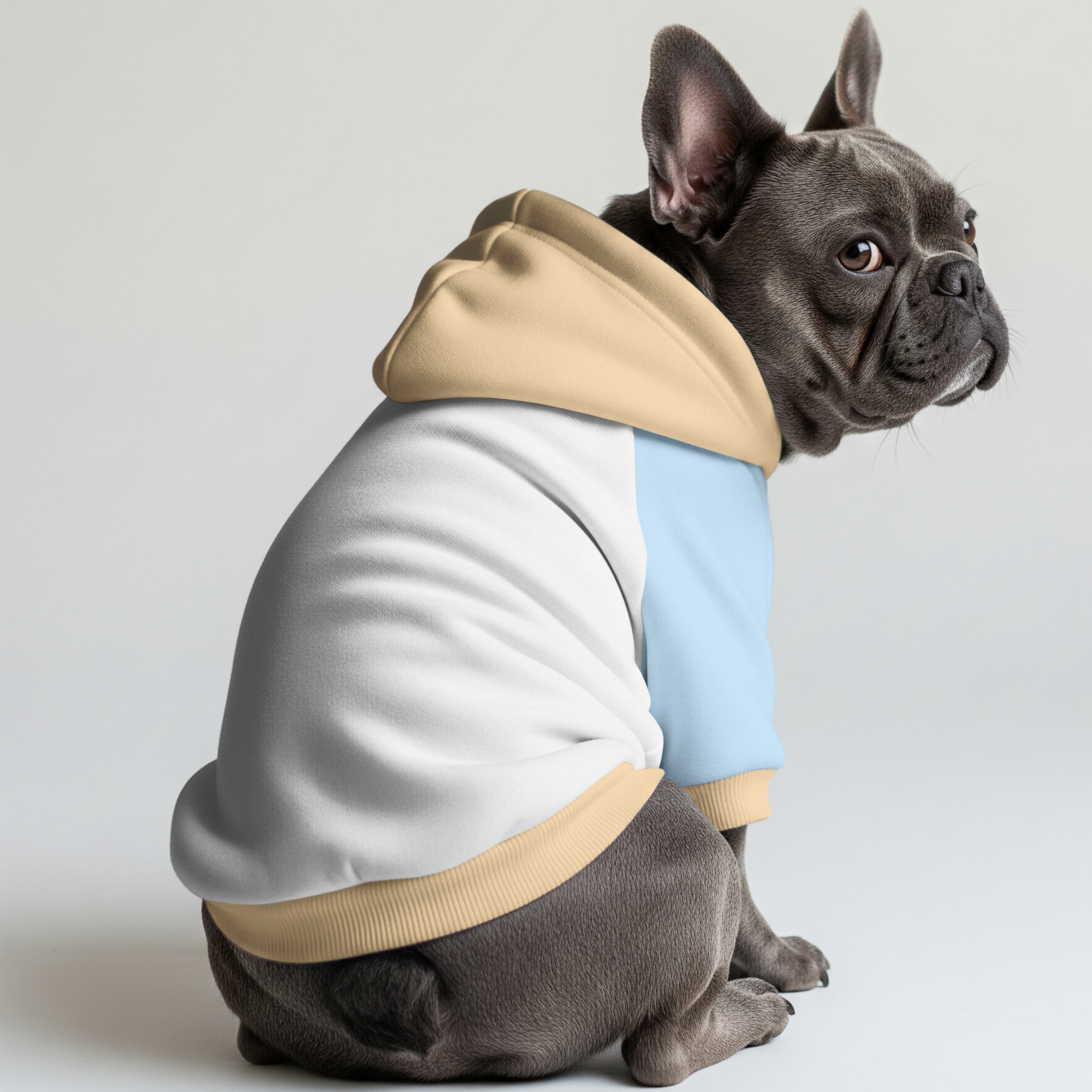 Winston - Frenchie hoodie