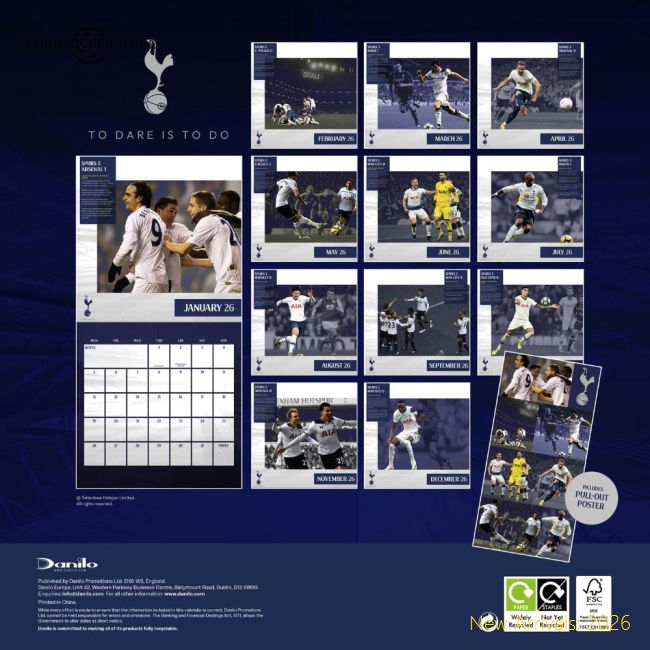 Tottenham Hotspur 2024-25 Fan Version For Adults Box Match Day Shirt