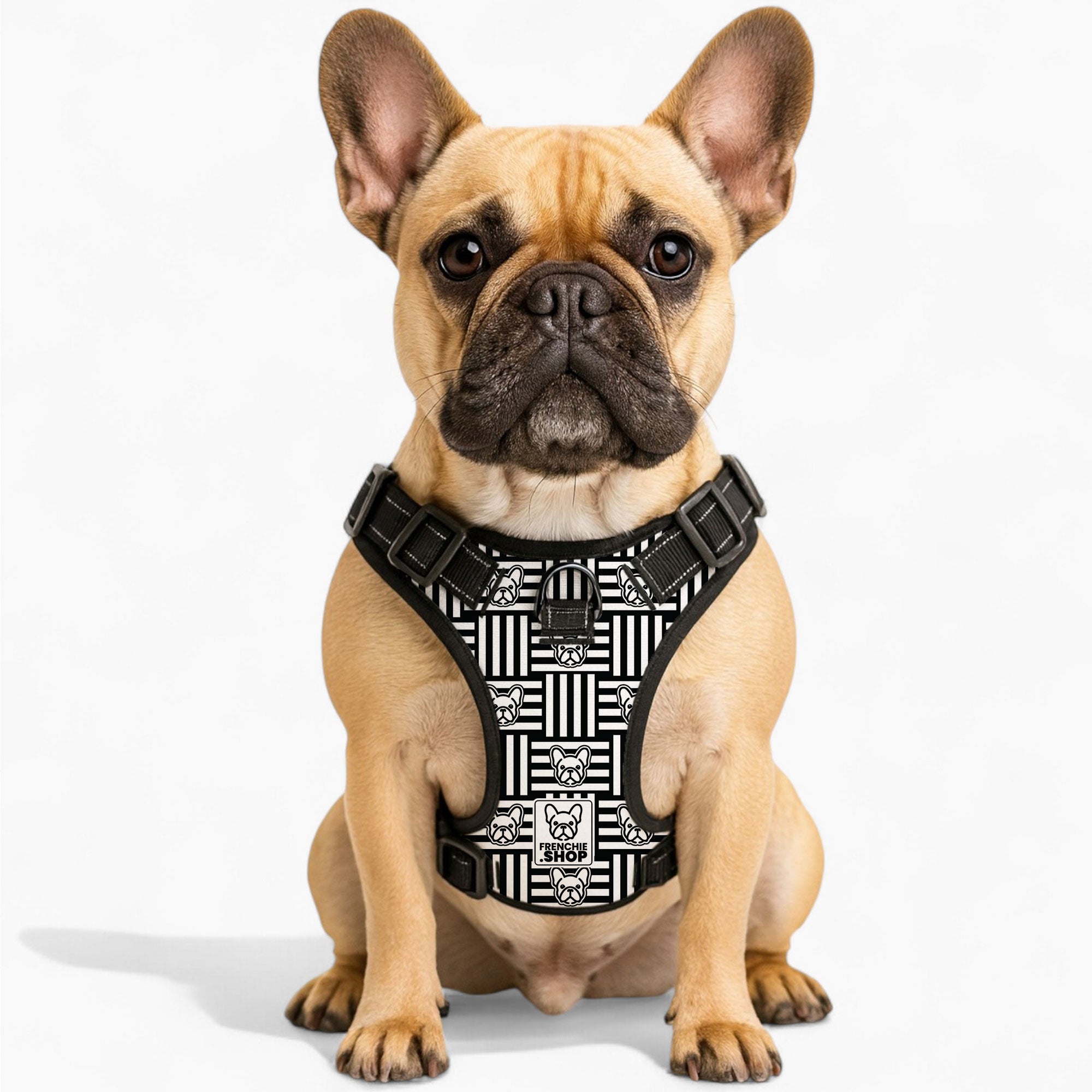 French Bulldog Minnie No Pull French Bulldog Dog Harness Practical Dog Gear