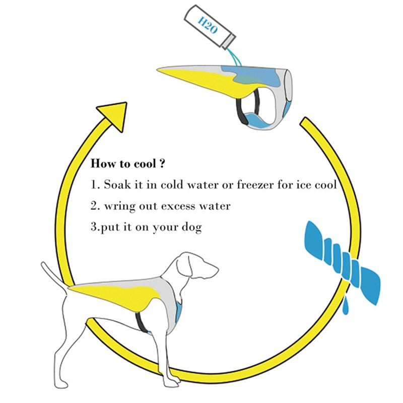 Coolify™ - Safe : Cooling Vest For Frenchie (cs13) Indoor Use