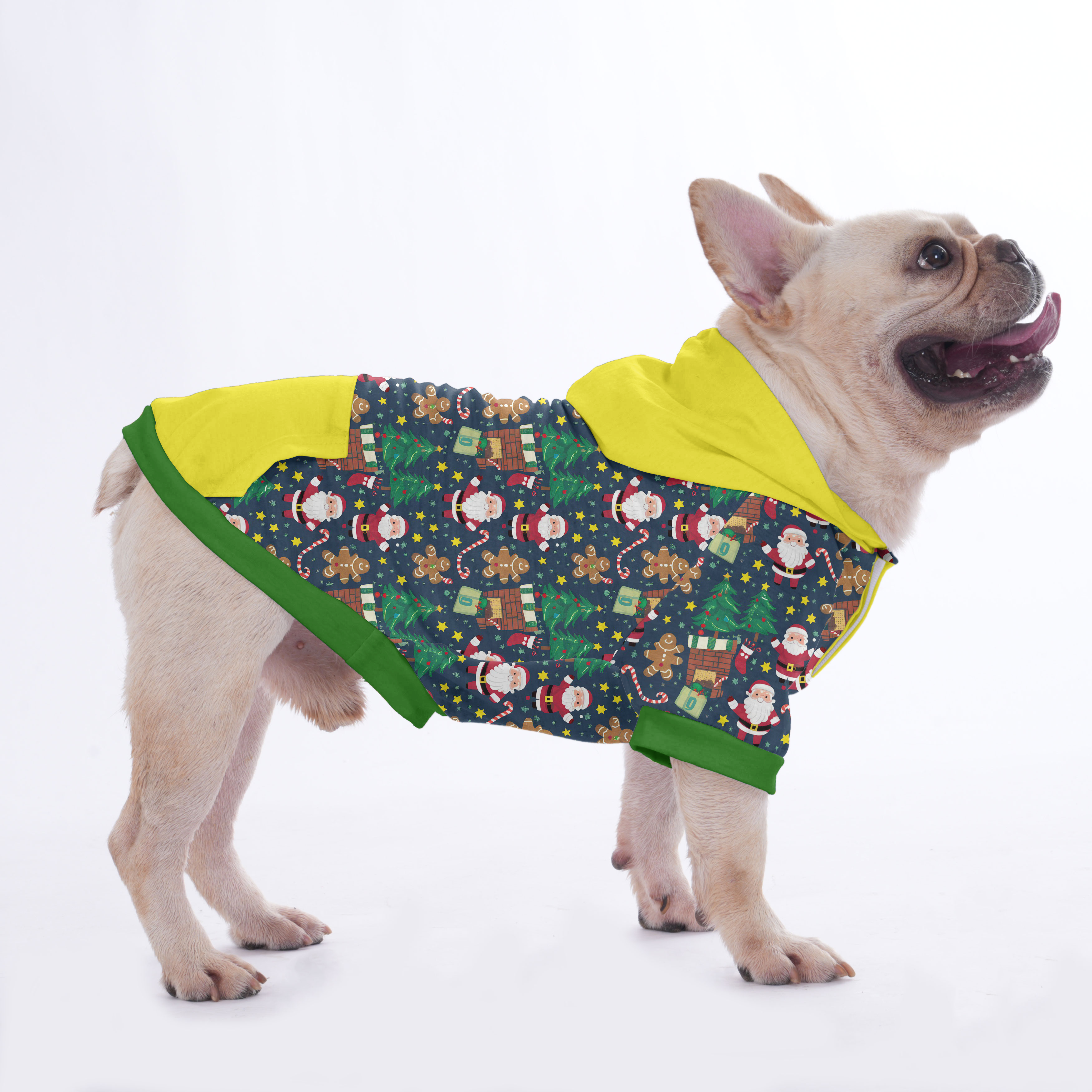 Pet-Lover Paquito - Hoodies For French Bulldog | Frenchie Shop Origin...
