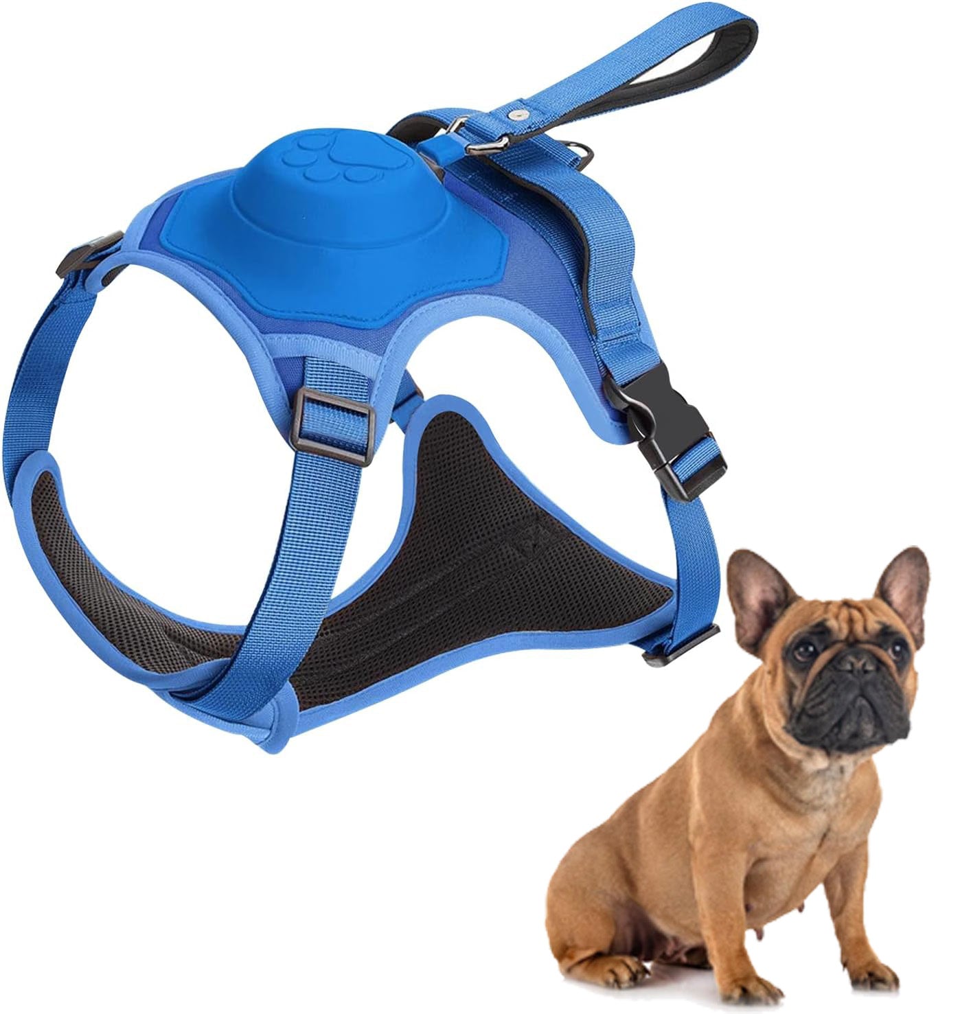 Frenchie Harness And Retractable Leash Set All-in-one Outdoor Use