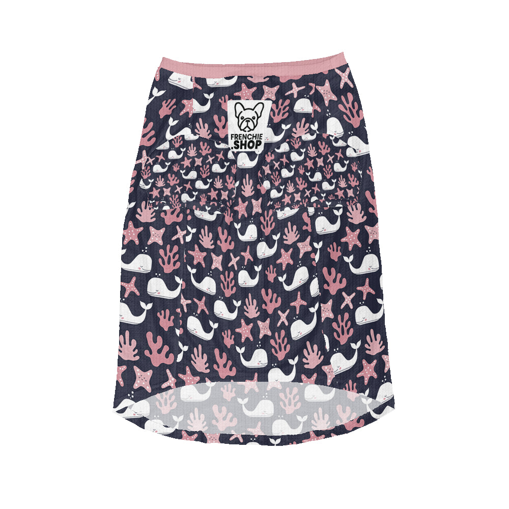 French Bulldog Covi Wool Sweater For Frenchies Warm Cold Weather Gear