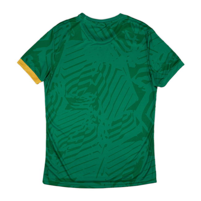 Player Issue Style South Africa Away Professional Jersey 2024-2025
