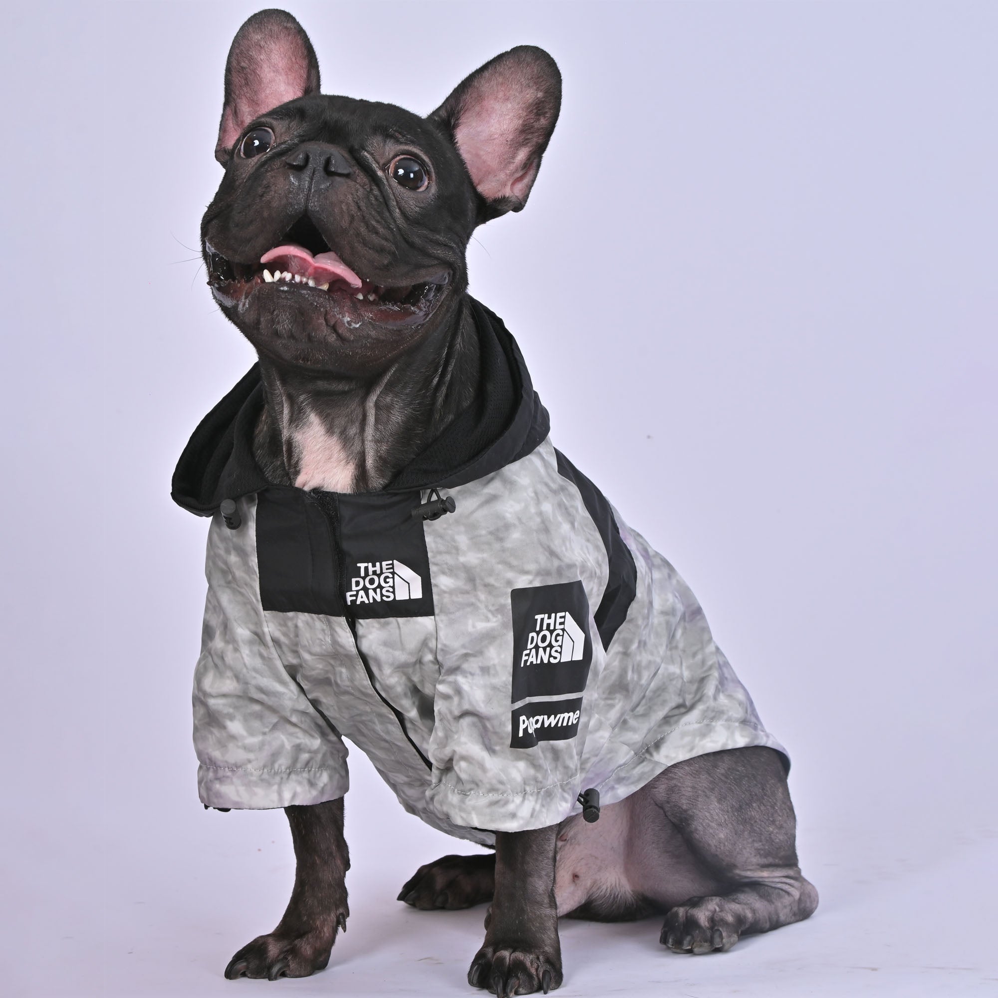 Petque™ - French Bulldog Frenchie Trendy Raincoat (wl08) Paw Protection