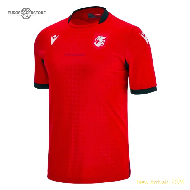 European Team 2023-2024 Third Shirt - Professional Dri-fit