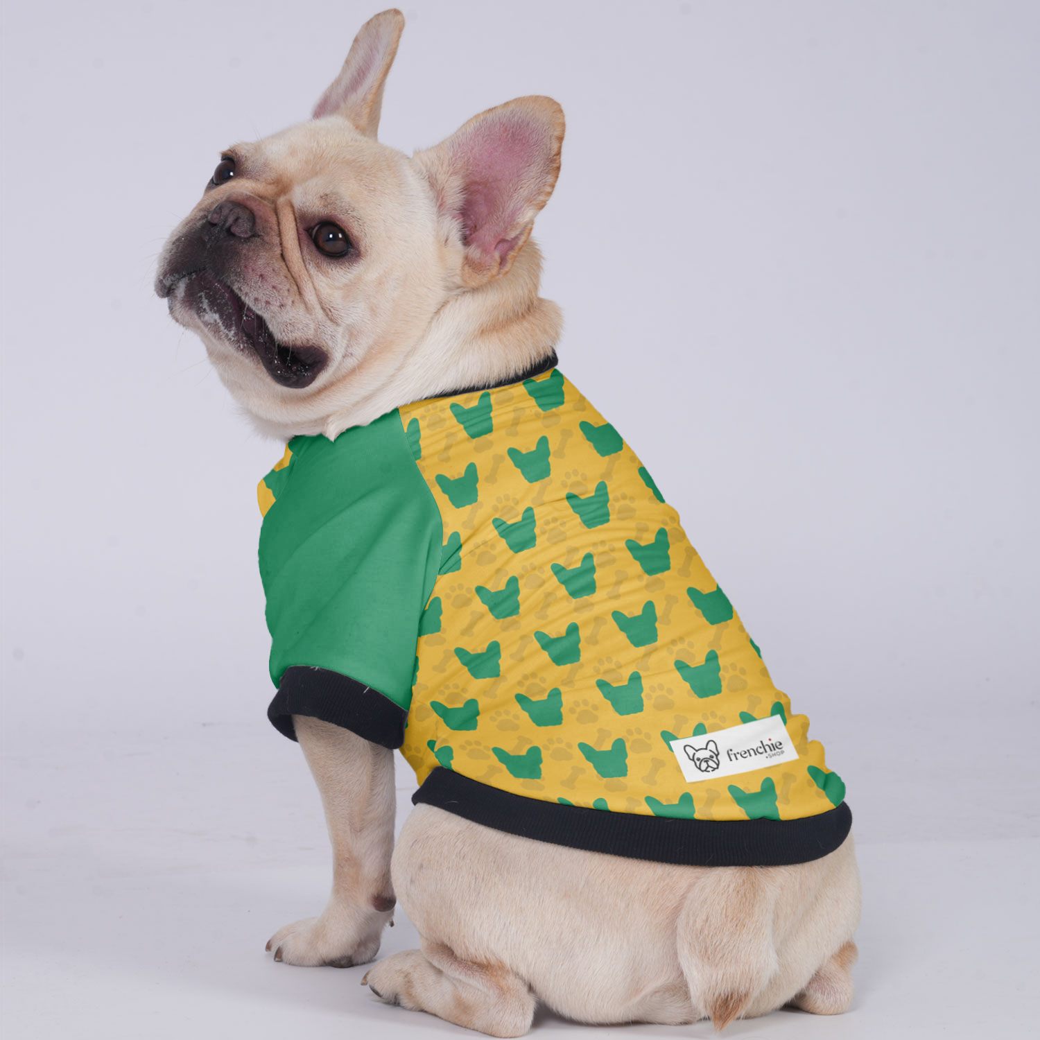 French Bulldog Jacket For French Bulldog Paw Protection | Durable Build