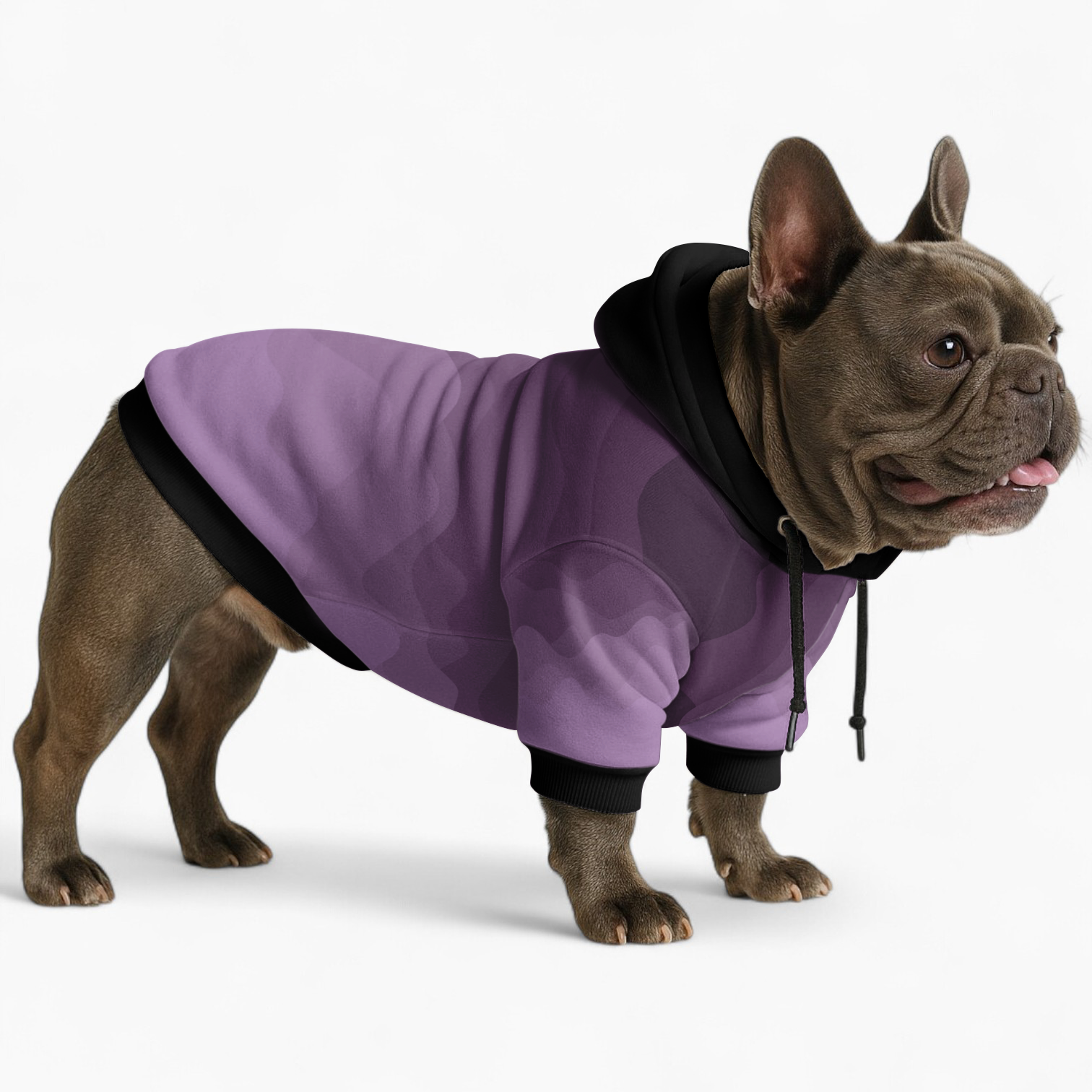 High-Quality Stylish Goldie - Frenchie Hoodie for Fashion Lovers Stylish