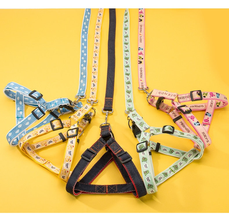 French Bulldog Nextg™ French Bulldog Harness Leash Set (ws602) Practical Dog Gear