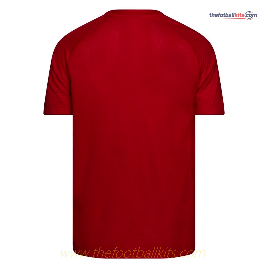 Norway Home Soccer Football Shirt 2022