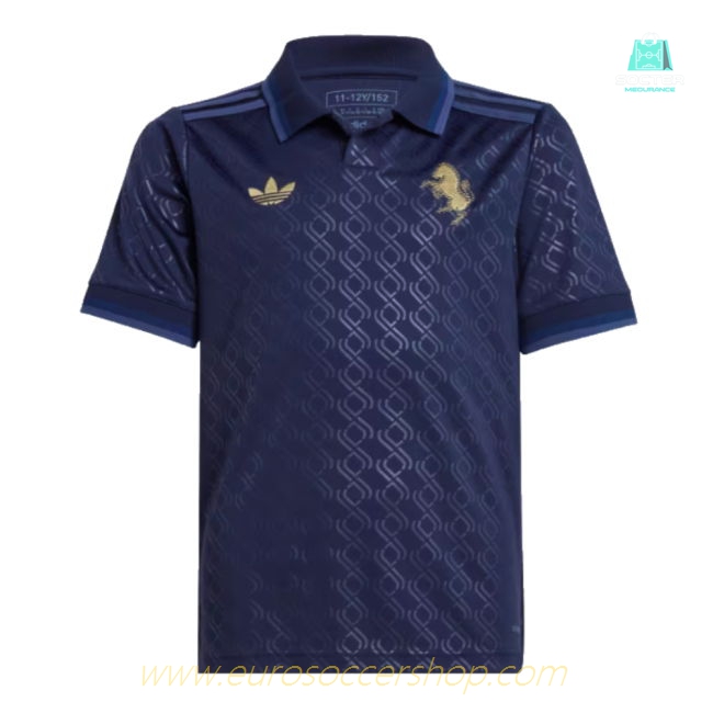 2024-2025 Juventus Third Shirt (Kids) (R.Baggio 10)