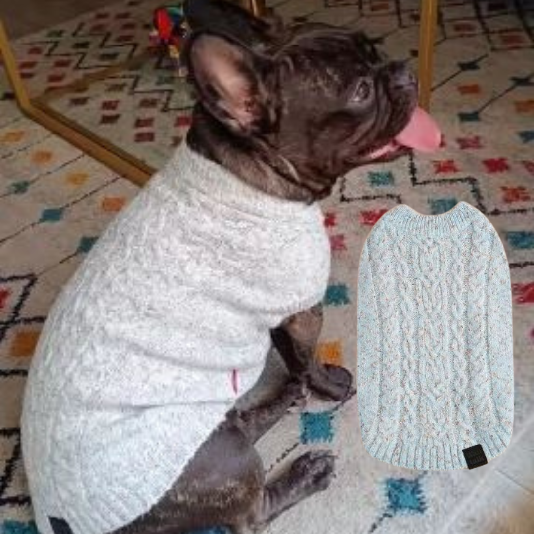 Premium Turtleneck Pullover For French Bulldogs Frenchie Themed Wear
