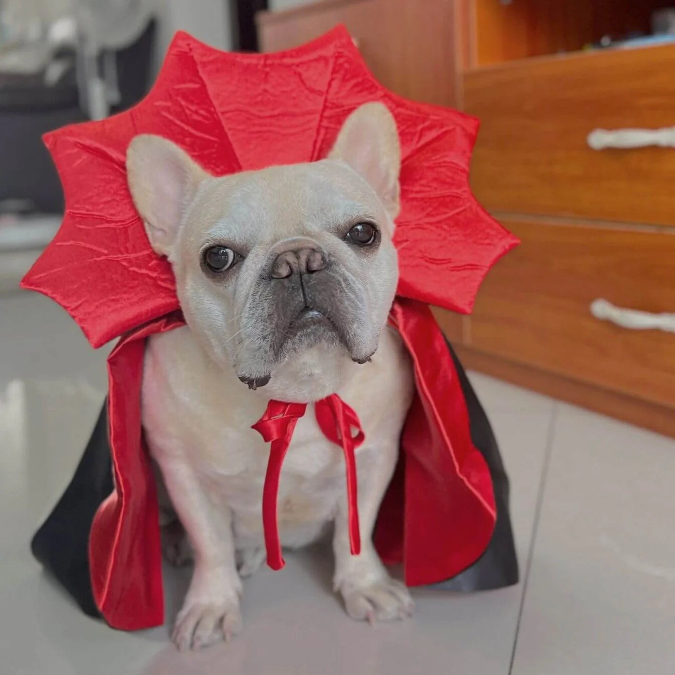 Cloak Costume – Halloween Red Black Satin Cloak For Frenchie Pups