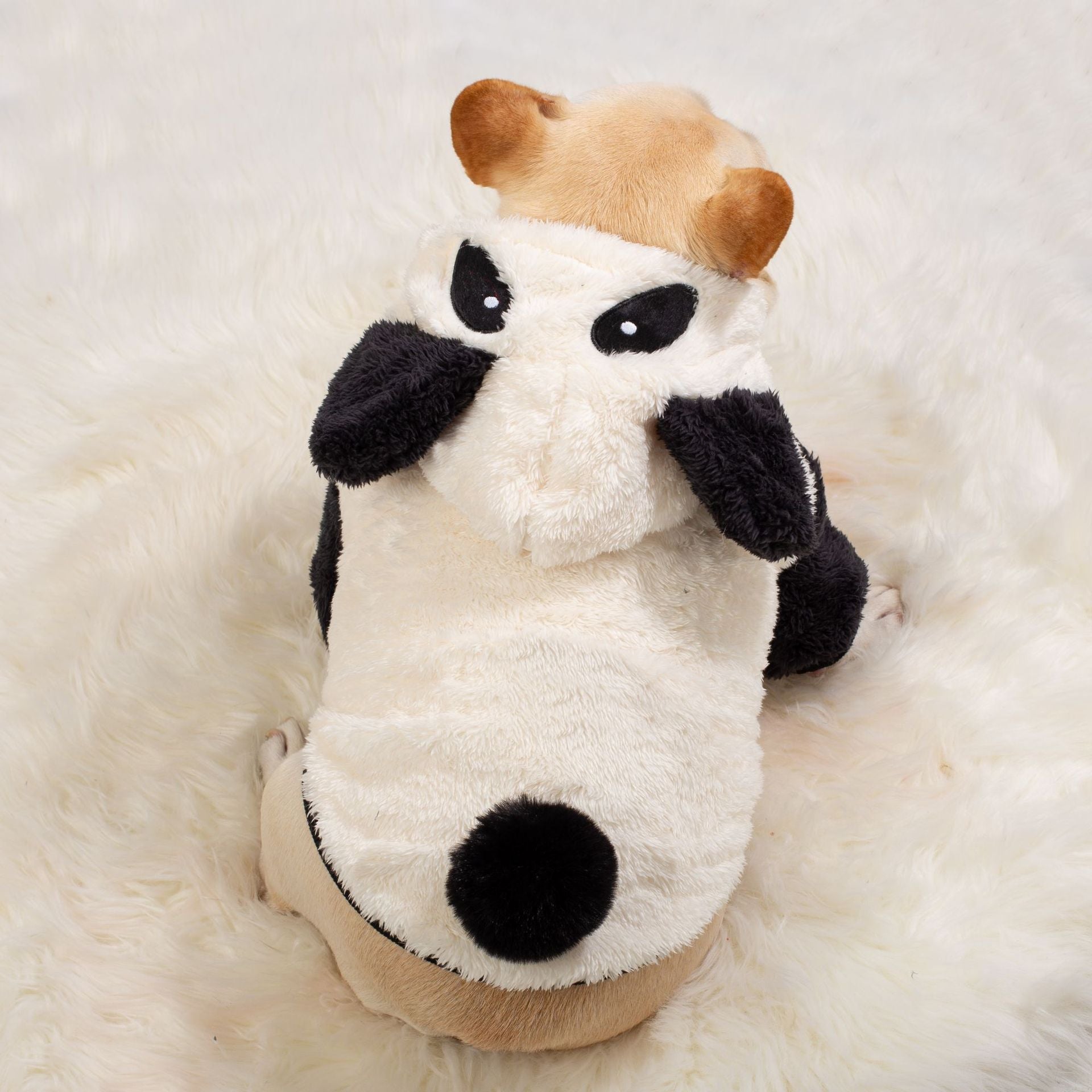 – Plush Thick Coat For Small Bulldogs Indoor Comfort | Durable Build