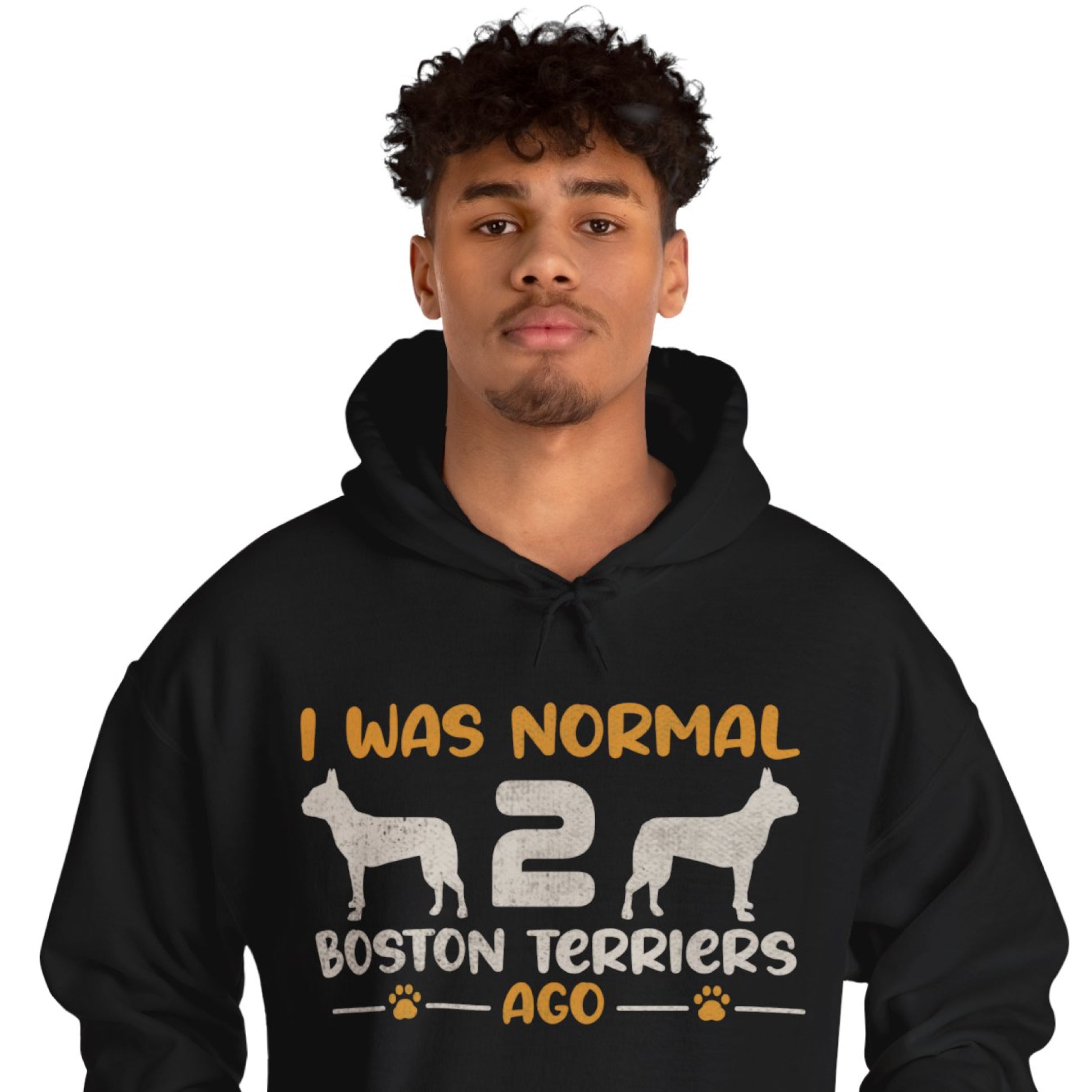 Hoodie For Boston Terrier Lovers Frenchie Themed Wear | Stylish Look