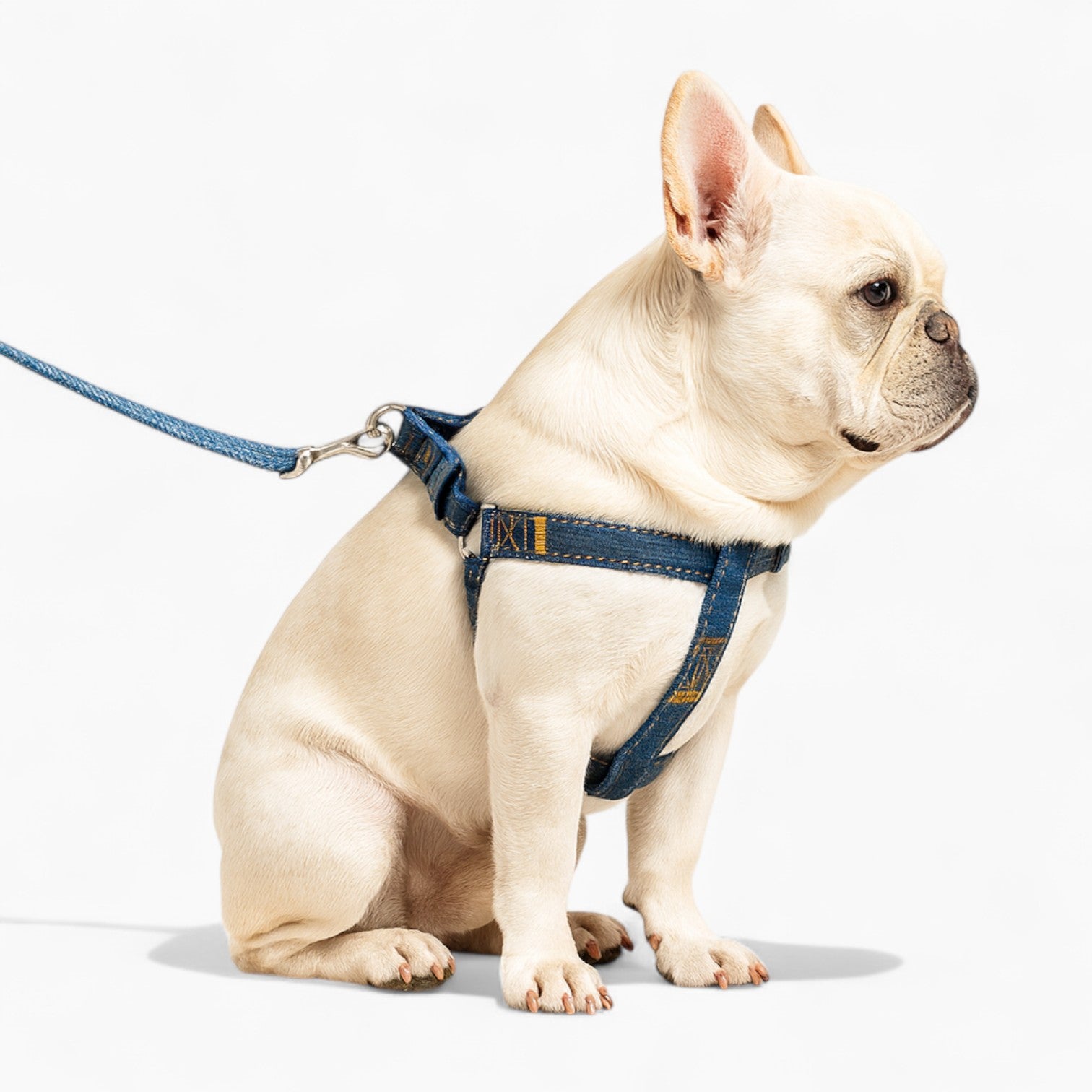 French Bulldog Denivox Frenchie Denim Harness Leash Set – Anti Break