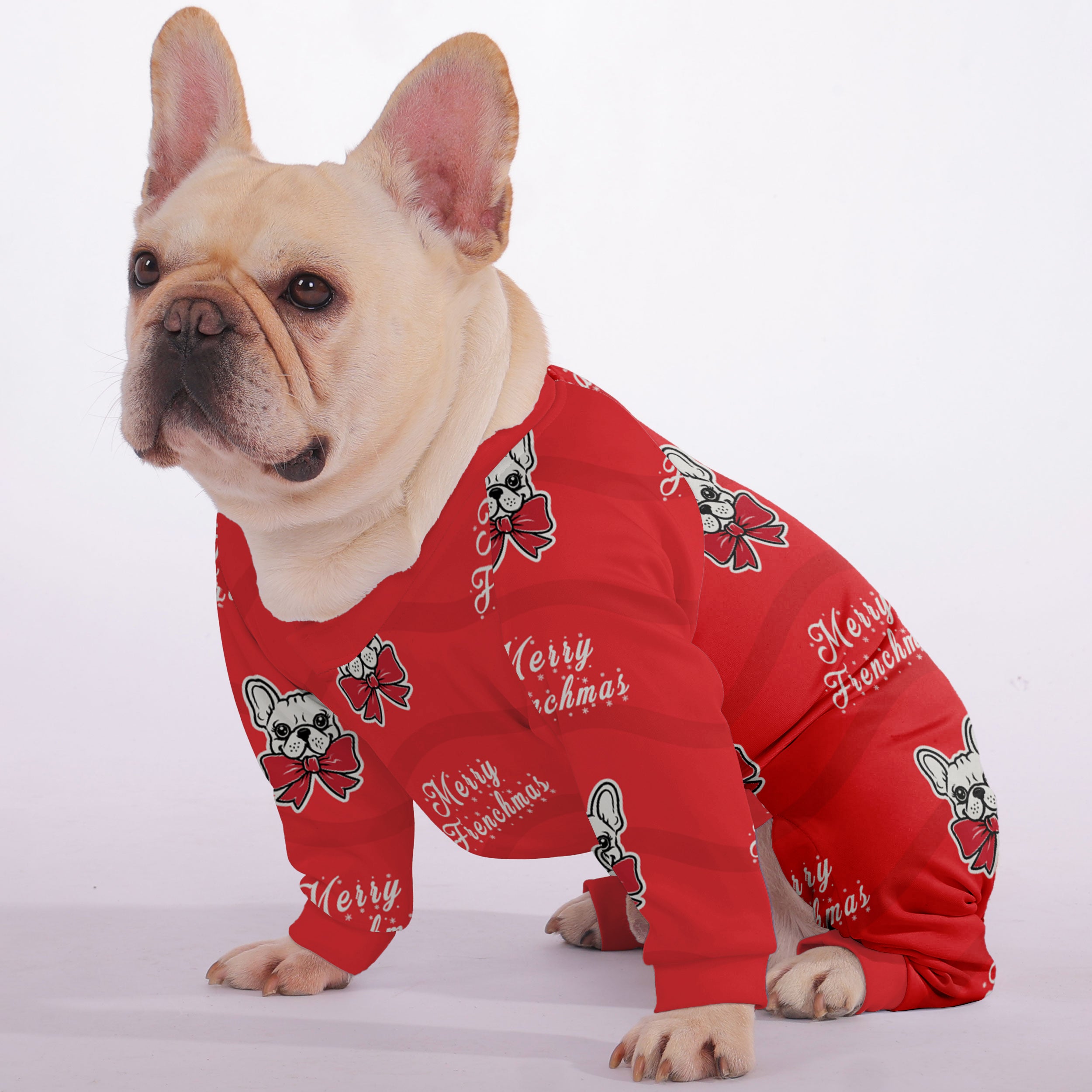 Dash - Frenchie Pajama