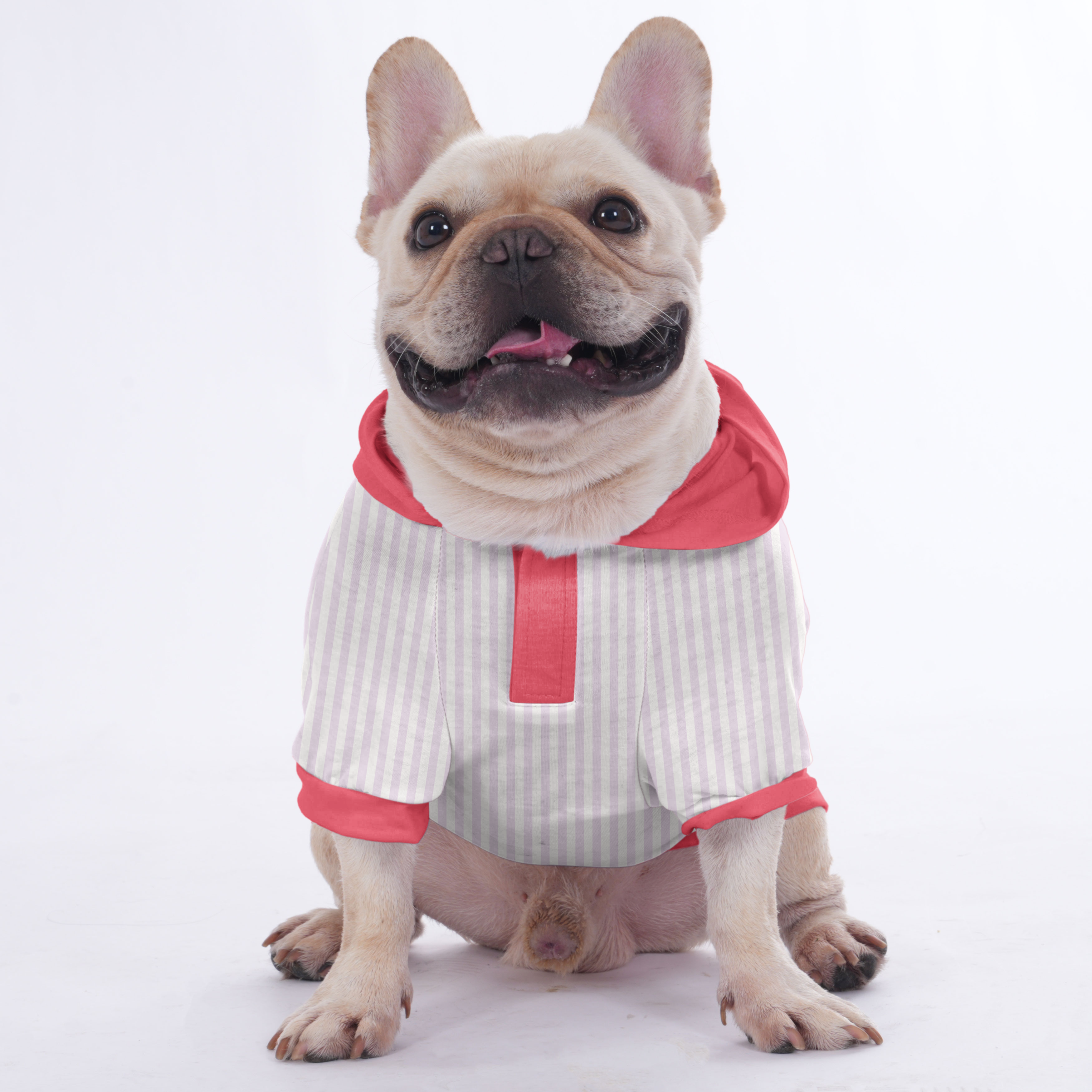 Hoodies For French Bulldog | Frenchie Shop Original Everyday Use