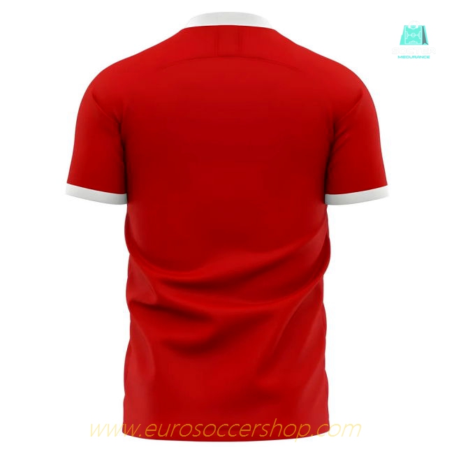 2025-2026 Jahn Regensburg Home Concept Football Shirt - Womens