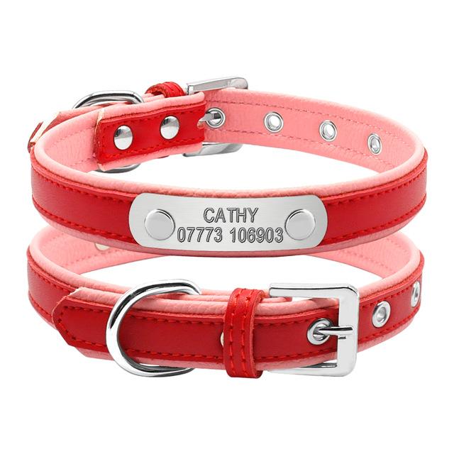 French Bulldog Custom - Vet-recommended Frenchie Collar Indoor Use
