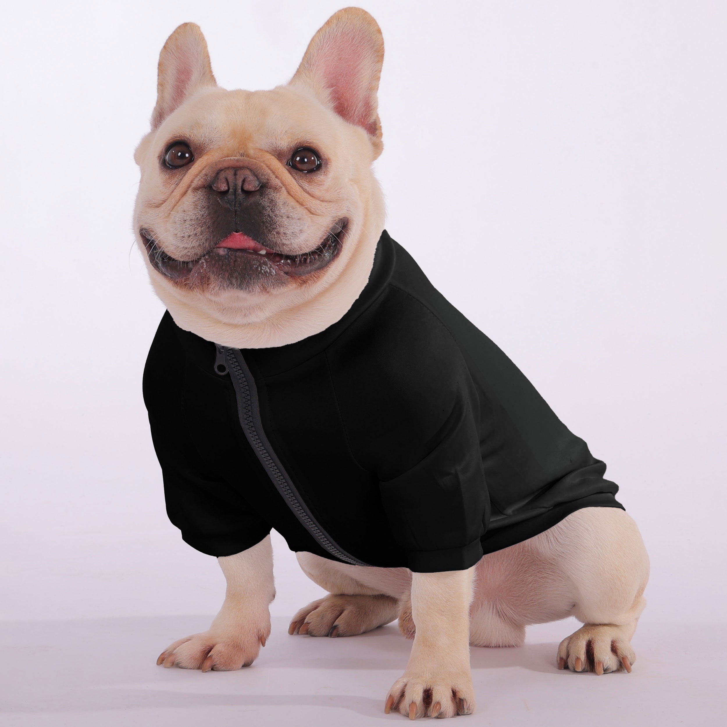 Comfortable Ears For Days, Sass For Life - Snuggly Zip-up Sweatshirt ...