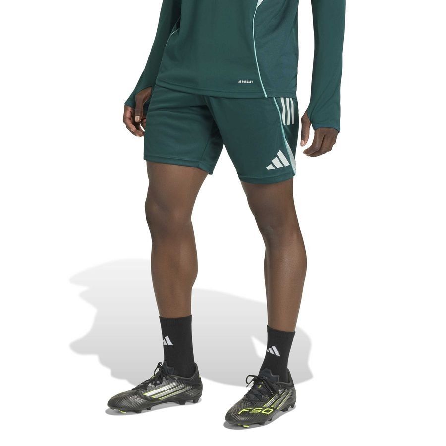 Arsenal Training Shorts Tiro 25 Aurora Ivy For Algeria Football Fans