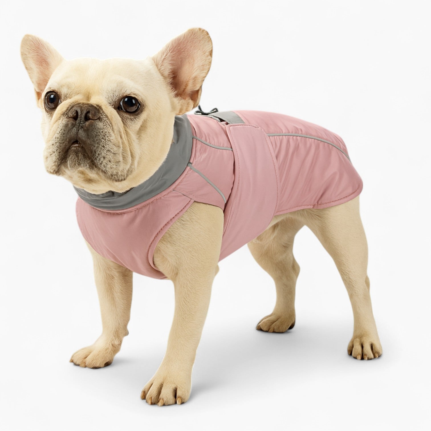 French Bulldog Hydruff French Bulldog Warm Vest – Reflective Waterproof