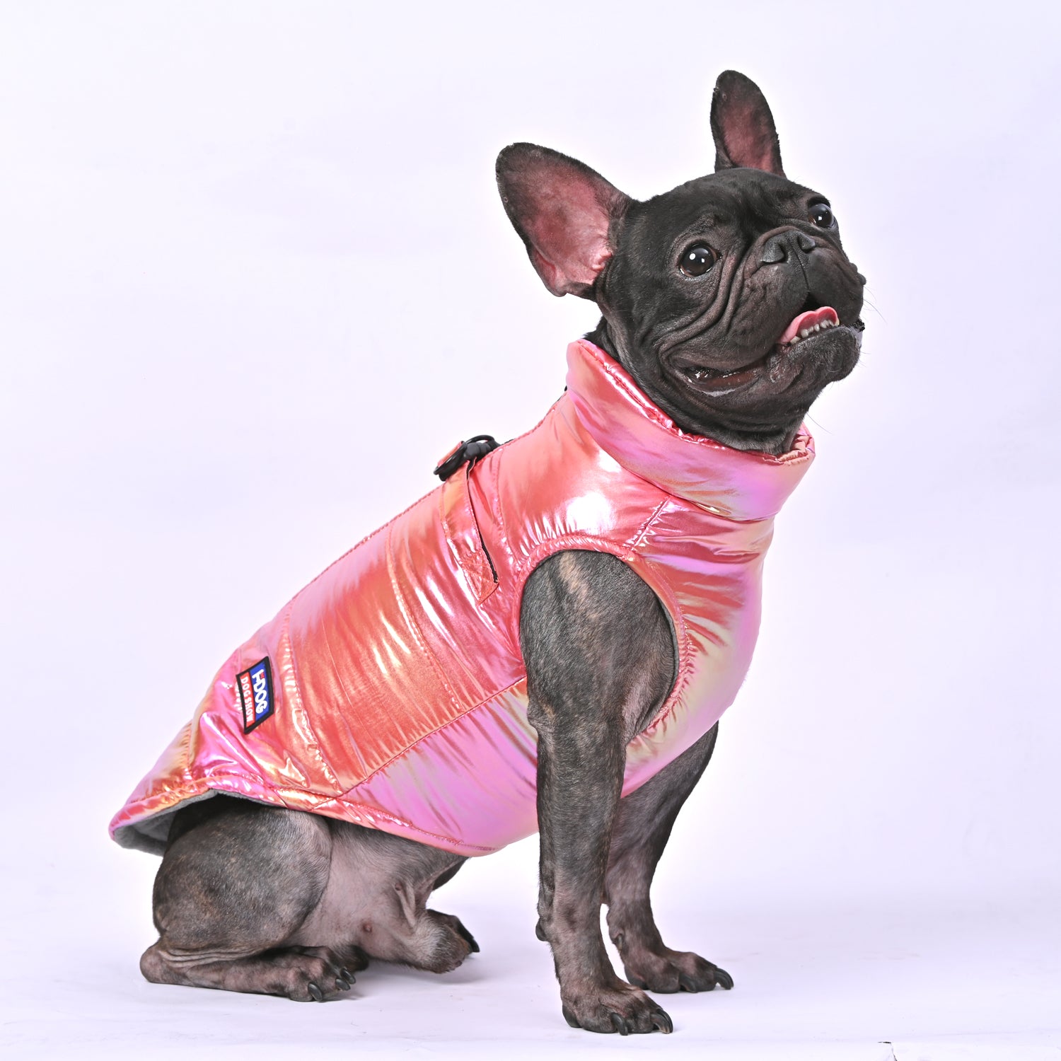 - Frenchie Shield Frenchie Reflective Winter Warm Jacket V2 Outdoor Use