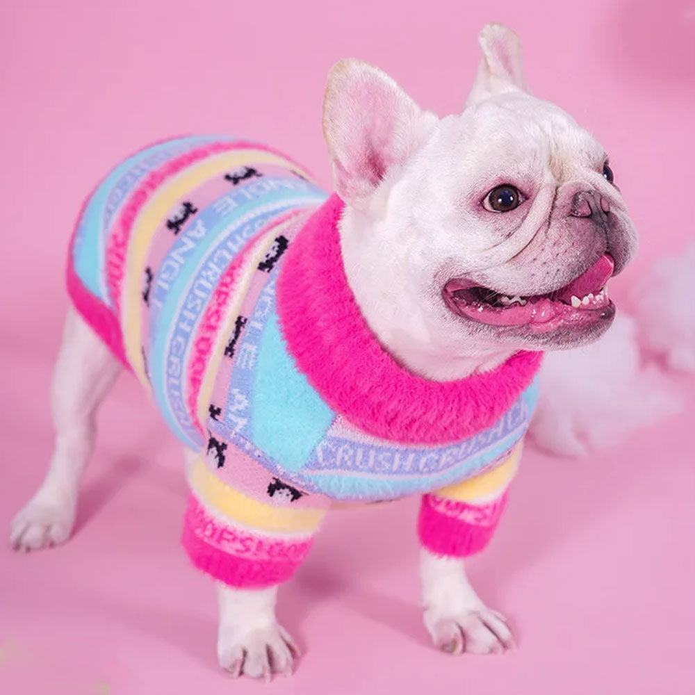 CozyPaw Frenchie Winter Sweater