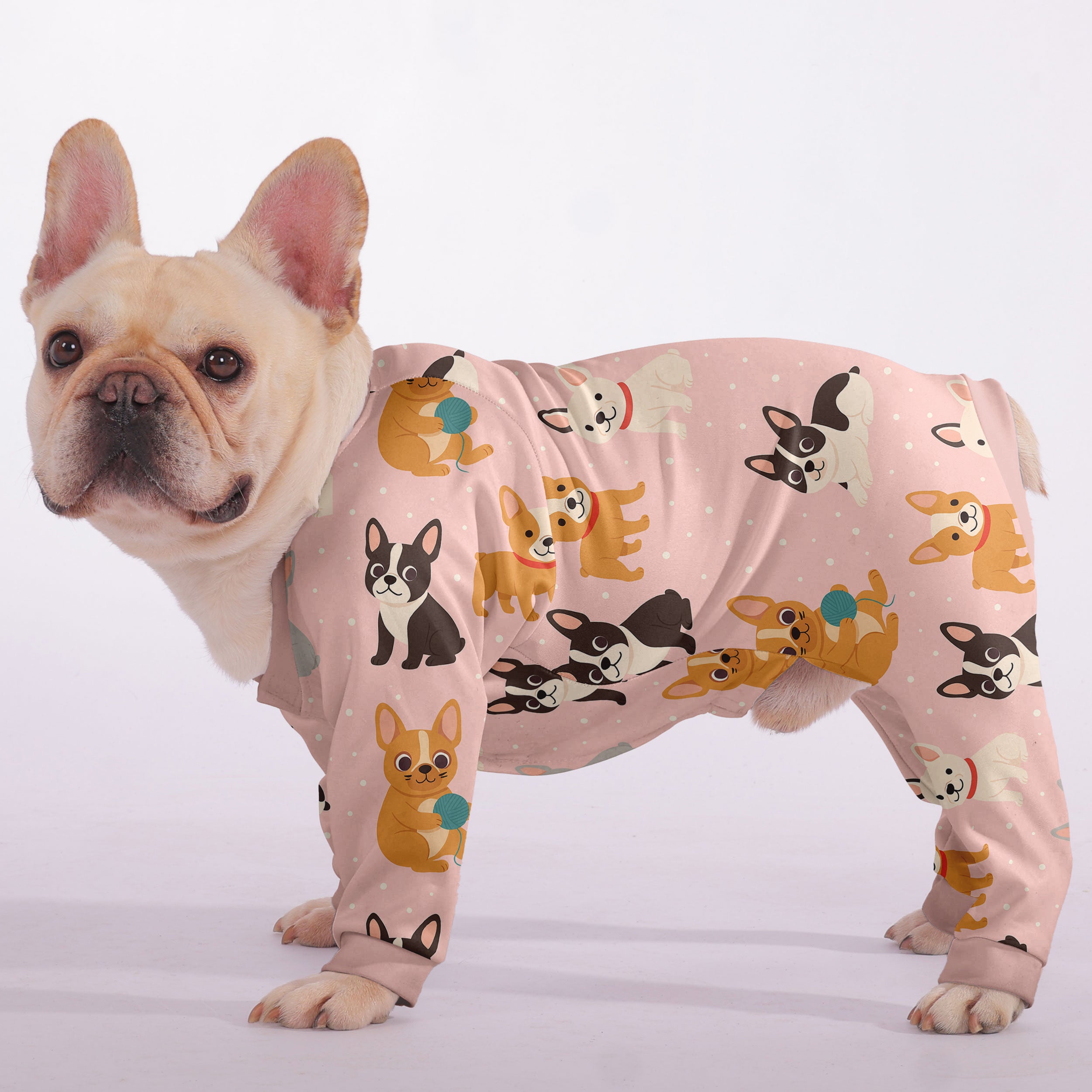 French Bulldog Bowie Frenchie Pajama Useful Frenchie Gear