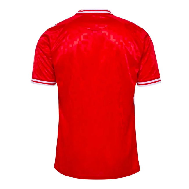 2024-2025 Denmark Home Shirt (Hojbjerg 23)