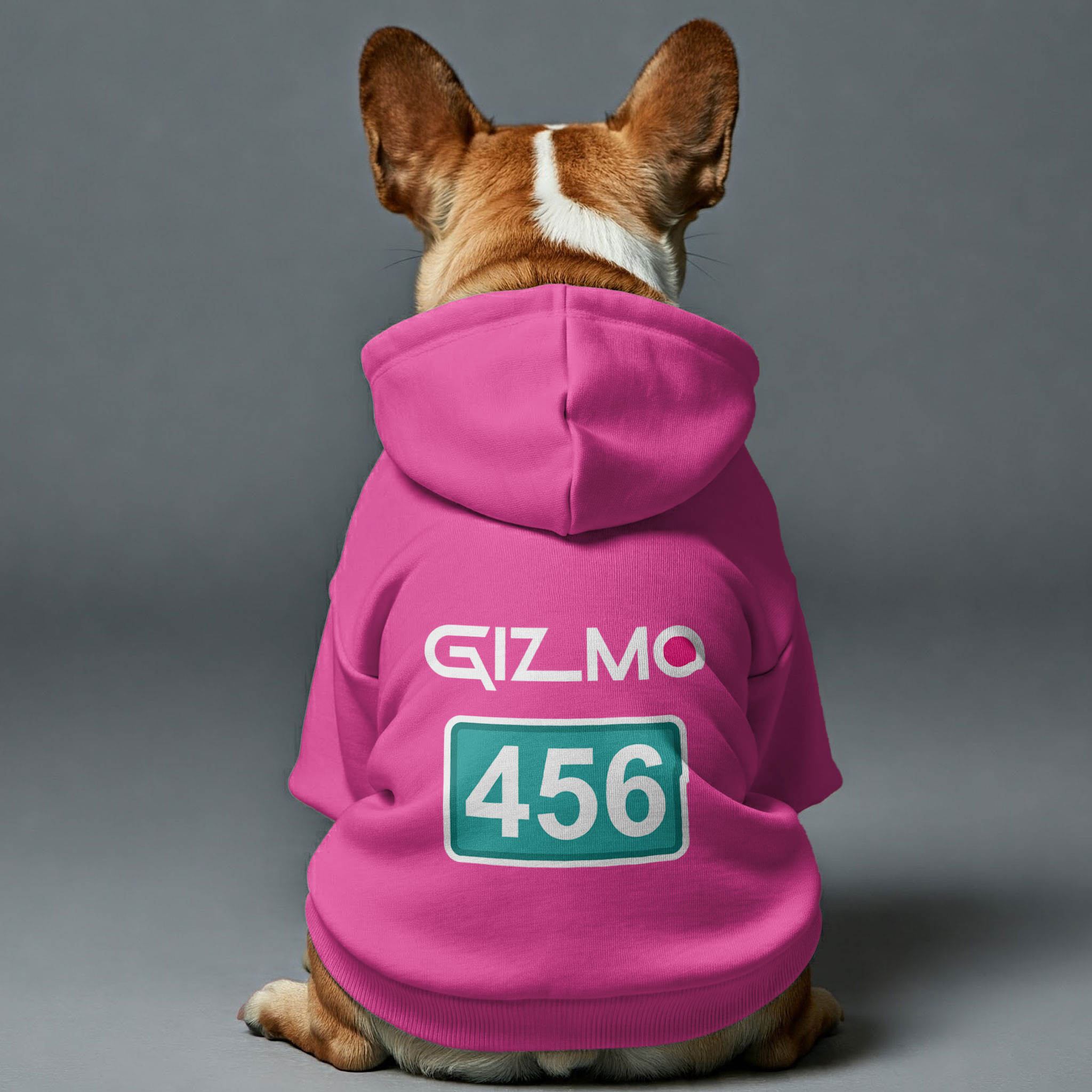 Cozy Frenchie Game - Personalized French Bulldog Hoodies With Custom ...