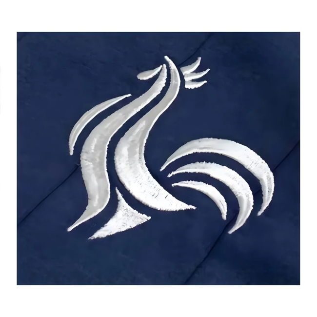 France Legendary Team Limited Shirt - Collector's Edition