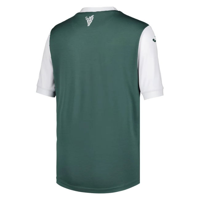 The Hibees W. Sneijder #10 Retro Collection Official Merchandise (v10)