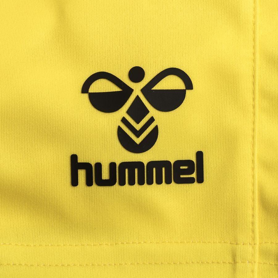 Denmark Goalkeeper Shorts 2023/24 In Multiple Adult Sizes