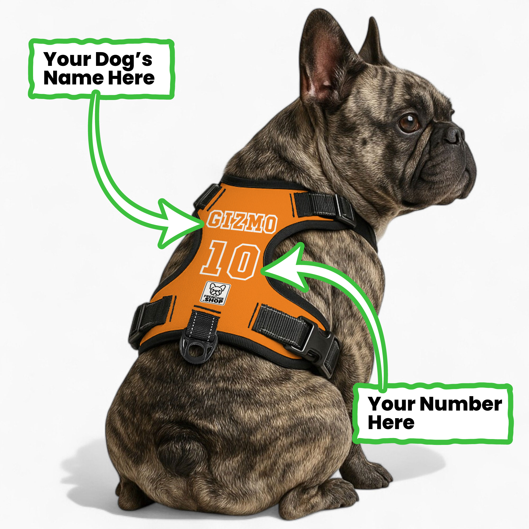 No-pull French Bulldog Dog Harness Winter Wear | Vet-recommended
