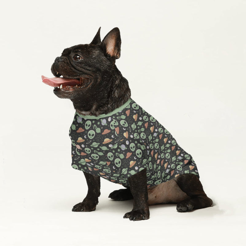 - Stylish Wool Sweater For Frenchies For Frenchie Fans | Premium Quality