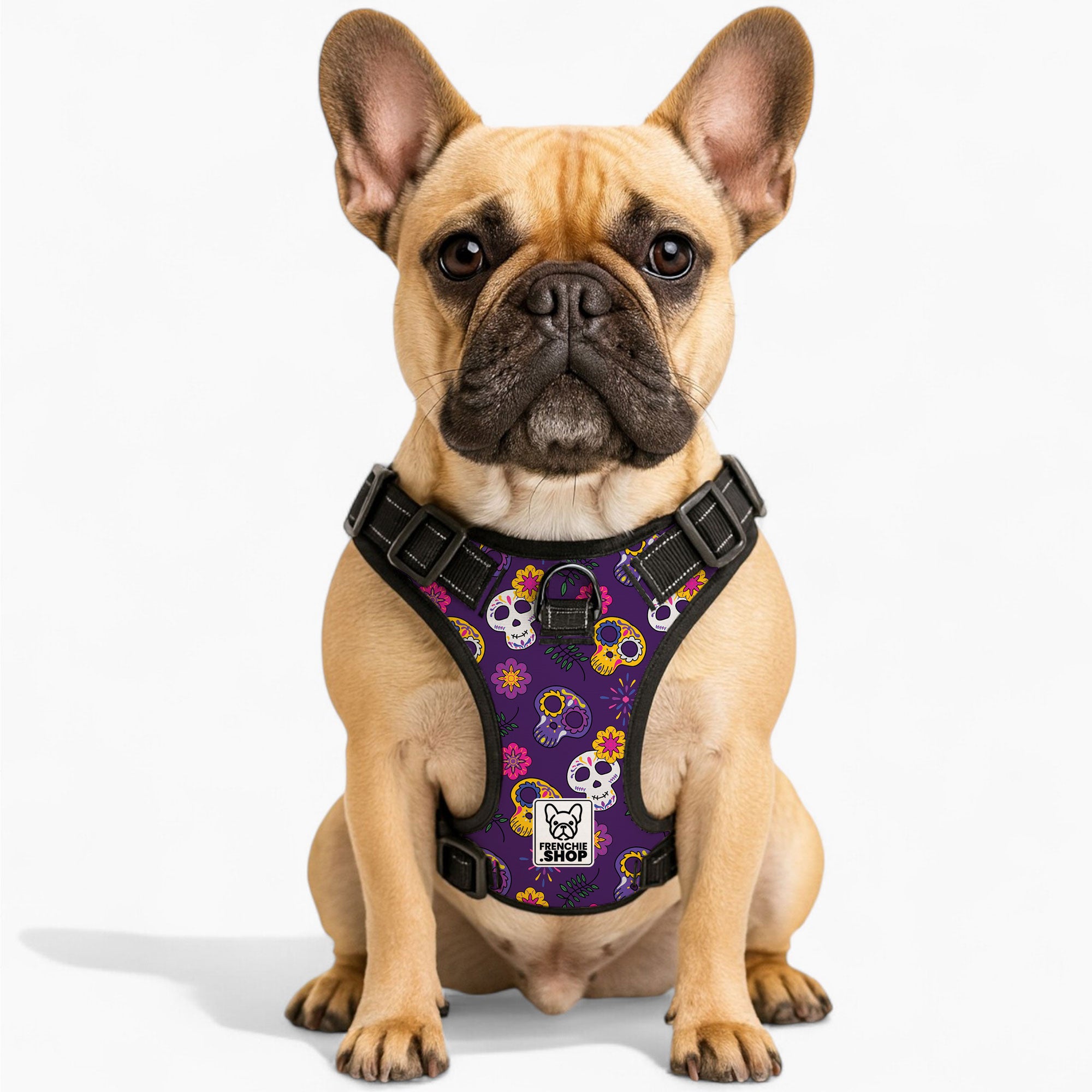 Kobe - No-Pull French Bulldog Dog Harness