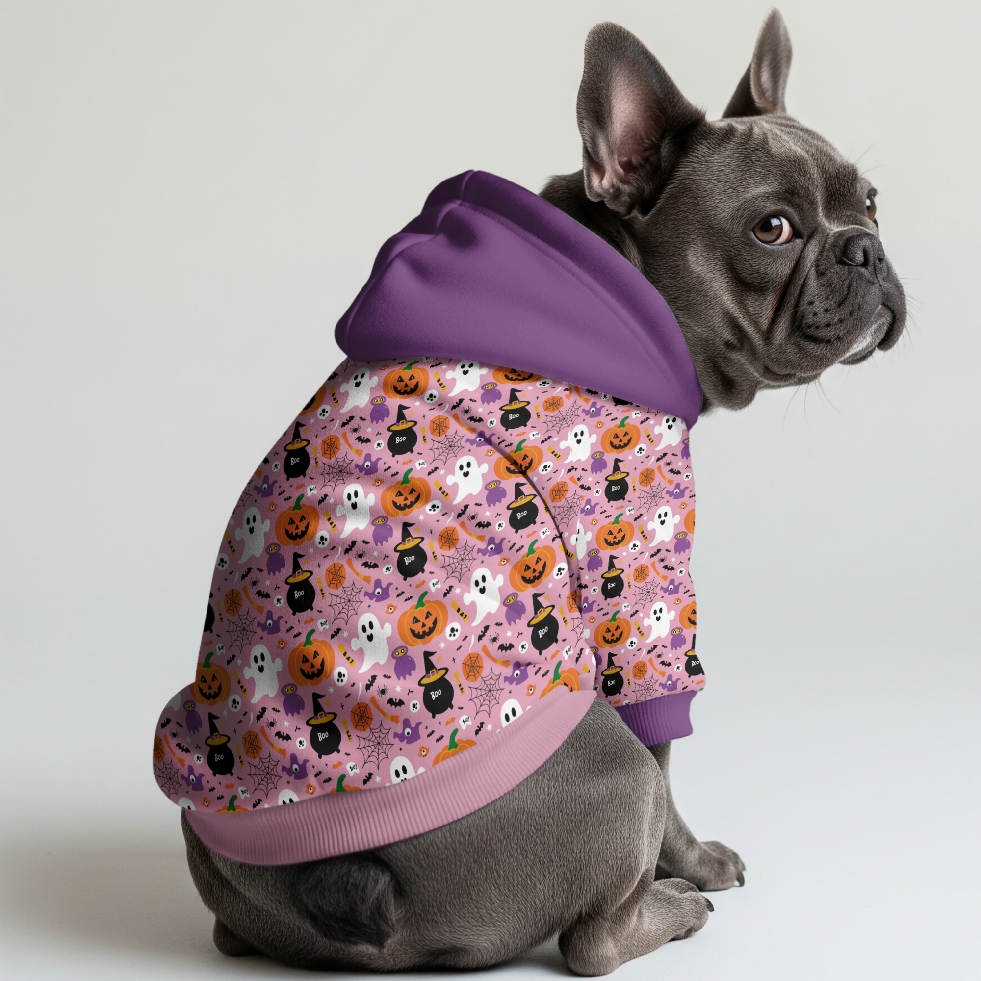 Ace - Dog Owner Frenchie Hoodie For Dog Lovers | Comfy Fit