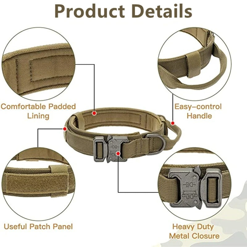 Tactipup Frenchie Tactical Collar – Durable Adjustable Military-Style for Training
