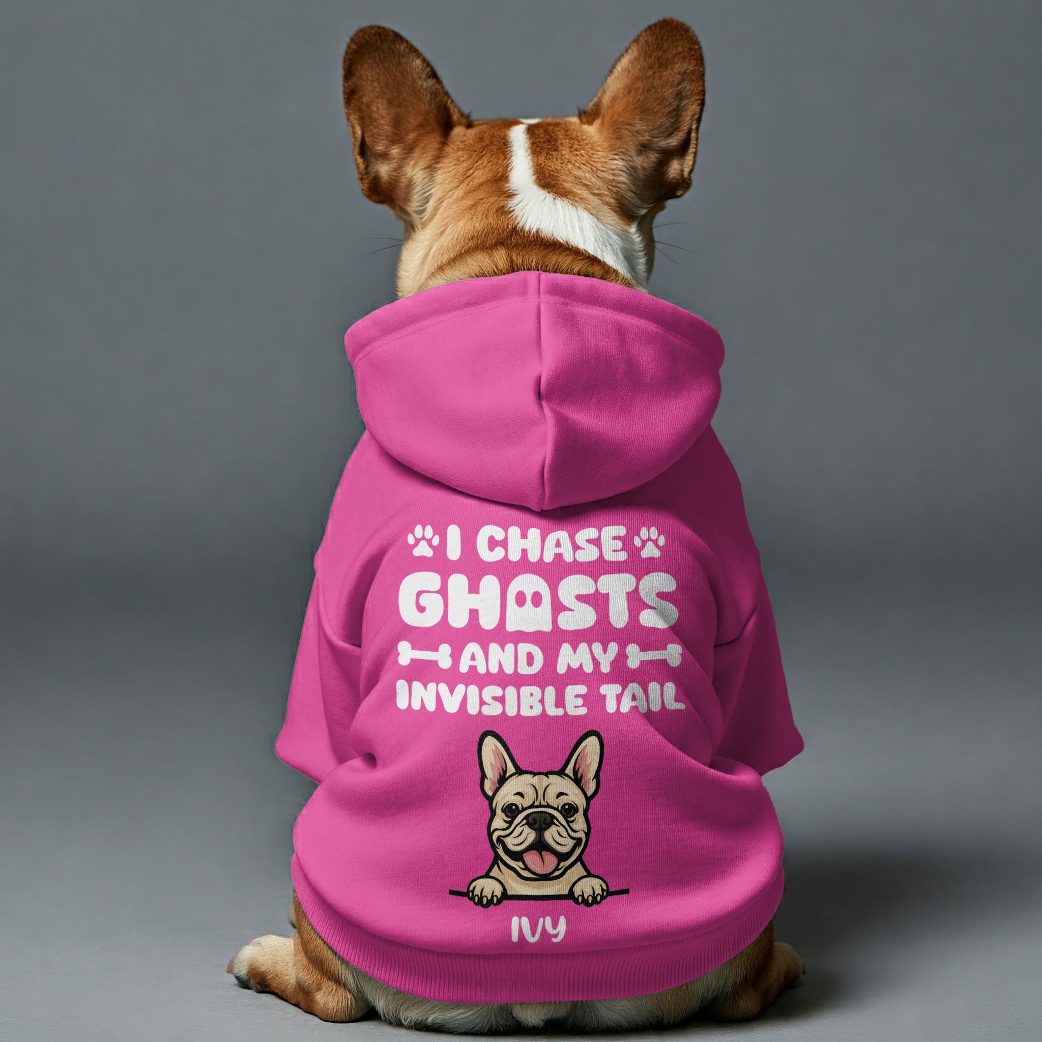 French Bulldog I Chase Ghosts Personalized French Bulldog Hoodies With